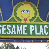 Man, Woman Punch Sesame Place Worker Who Reminded Them to Wear Masks, Police Say