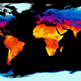 Coronavirus may have a seasonal cycle, but that doesn’t mean it will go away this summer, experts warn