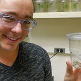 Embattled spider biologist seeks to delay additional retractions of problematic papers