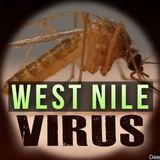 Pool of West Nile positive mosquitoes found in Idaho