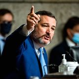 Ted Cruz criticized for joking about "magic money tree" for pandemic aid: "It's not a godd**n joke"