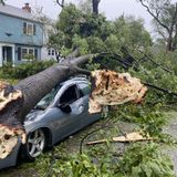 PHOTOS: 2020 Wind Storm