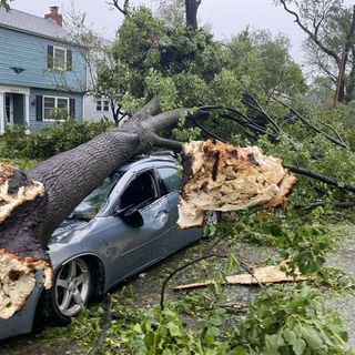 PHOTOS: 2020 Wind Storm