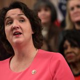 Katie Porter Got A Trump Official To Promise Free Coronavirus Tests