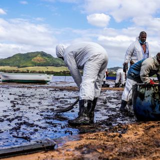 People Are Cutting Off Their Hair to Soak Up the Mauritius Oil Spill