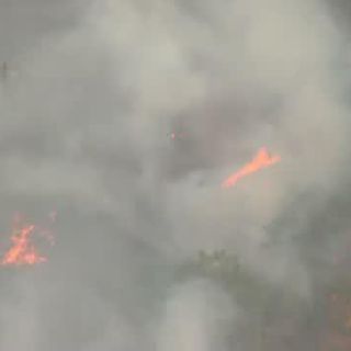 Governor invokes emergency declaration as Mosier Creek Fire in Columbia River Gorge grows to 500 acres