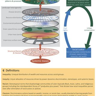 The ecological and evolutionary consequences of systemic racism in urban environments