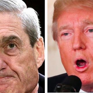 Trump is a 'career criminal' guilty of 'negligent homicide': Mueller prosecutor Glenn Kirschner