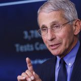 Fauci: ‘No Reason’ Americans Can’t Vote In-Person as Long as Precautions Are Taken | National Review