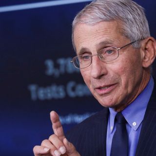 Fauci: ‘No Reason’ Americans Can’t Vote In-Person as Long as Precautions Are Taken | National Review