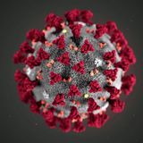 March 13, 2020 coronavirus news