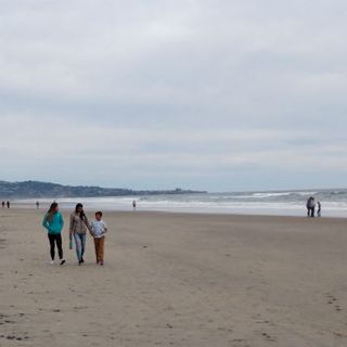 Sewage Spill Near Torrey Pines Closes Part of State Beach