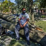 With thousands of trees felled by Monday’s storm, residents of hard-hit neighborhoods lament lost shade and greenery: ‘This is going to be very devastating’