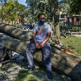 With thousands of trees felled by Monday’s storm, residents of hard-hit neighborhoods lament lost shade and greenery: ‘This is going to be very devastating’