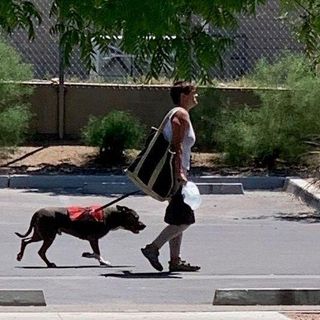 Las Vegas Deputy City Marshals seek help identifying woman allegedly involved in dog attack