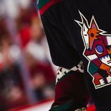 The Creation of the Kachina Coyote Logo