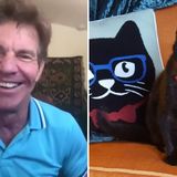 ‘I just couldn’t resist’: Actor Dennis Quaid is adopting a Lynchburg shelter cat named Dennis Quaid
