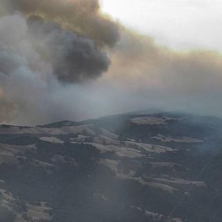 Wildfires in California and Colorado fueled by brutal heatwave - Digital Journal