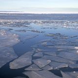 Trump Admin OKs Oil Drilling In Part Of Alaska’s Arctic National Wildlife Refuge