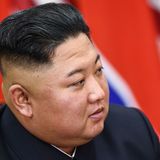 North Korea orders pet dogs seized from owners amid food shortages: report