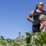 'A raging crisis': Metro Phoenix is losing its family farms and local food sources