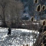 Man angry over dinner arrangements threw wife in Provo River, police say