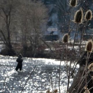 Man angry over dinner arrangements threw wife in Provo River, police say