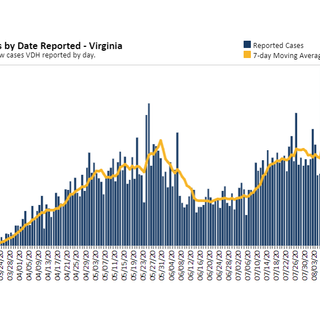 Virginia August 13 COVID-19 update: 1,101 new cases, 11 new deaths statewide; Norfolk’s percent of positive tests drops below 10%