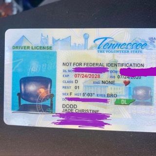 Hickman County woman renews license online, gets new ID with picture of empty chair