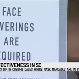 SC DHEC data shows COVID-19 cases dropping in places with mask mandates