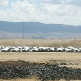 Wind turbine blades in coal mine pits? There's a new law in Wyoming to allow it.