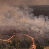 As Fires Surge in Brazilian Amazon, Bolsonaro Strategy to Battle Deforestation Blasted as 'PR Stunt'