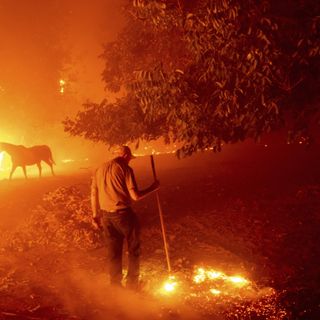 California wildfires chase people from homes into smoky air