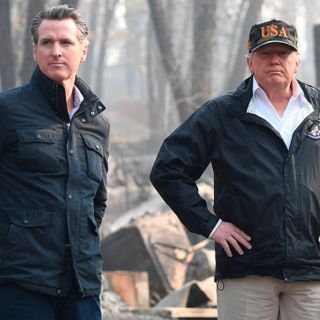 Trump on California wildfires: ‘You got to get rid of the leaves’