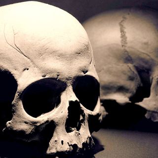Construction workers uncovered 42 skeletons and nobody knows where they’re from