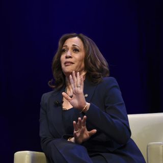 Scott Adams Predicts Kamala Harris Will Be on Dem Ticket Despite Dropping Out of the Race