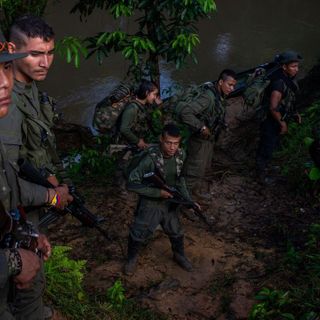 FARC Preparing for Renewed Fighting Deep in Colombian Jungle