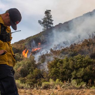 8 California national forests to close Monday due to heat, dangerous fire conditions