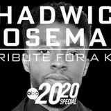 Chadwick Boseman: A Tribute for a King 2020 Special Is Now on Disney+