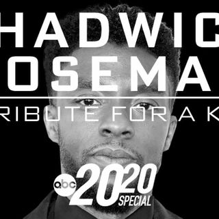 Chadwick Boseman: A Tribute for a King 2020 Special Is Now on Disney+