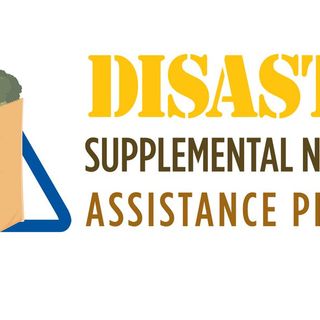 DSNAP application period ending Wednesday