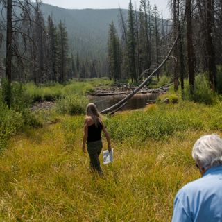 Booming Front Range cities take first steps to build $500 million dam, reservoir near Holy Cross Wilderness