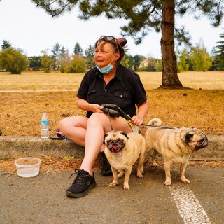 Half an Hour From Portland, the Residents of Evacuated Towns Await Word of Their Homes 