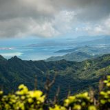 How Efforts To Save Hawaii's Forests Are Preventing A 'Freshwater Crisis'