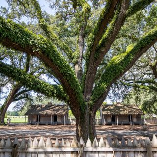 Louisiana's plantations are reckoning with their racist past; here's how some are evolving