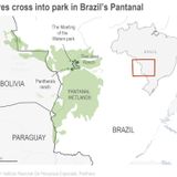 Wildfires sweep into Brazil park harboring jaguars