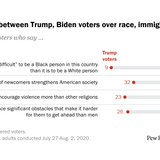 Voters’ Attitudes About Race and Gender Are Even More Divided Than in 2016