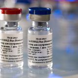 Russia's Covid-19 vaccine generated an immune response, study says