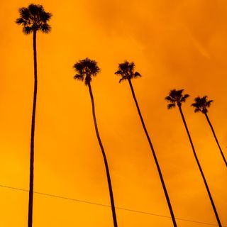 Warmer. Burning. Epidemic-challenged. Expensive. The California Dream has become the California Compromise.