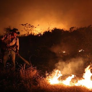 In Brazil, it’s not just the Amazon that’s burning. The world’s largest wetland is on fire too